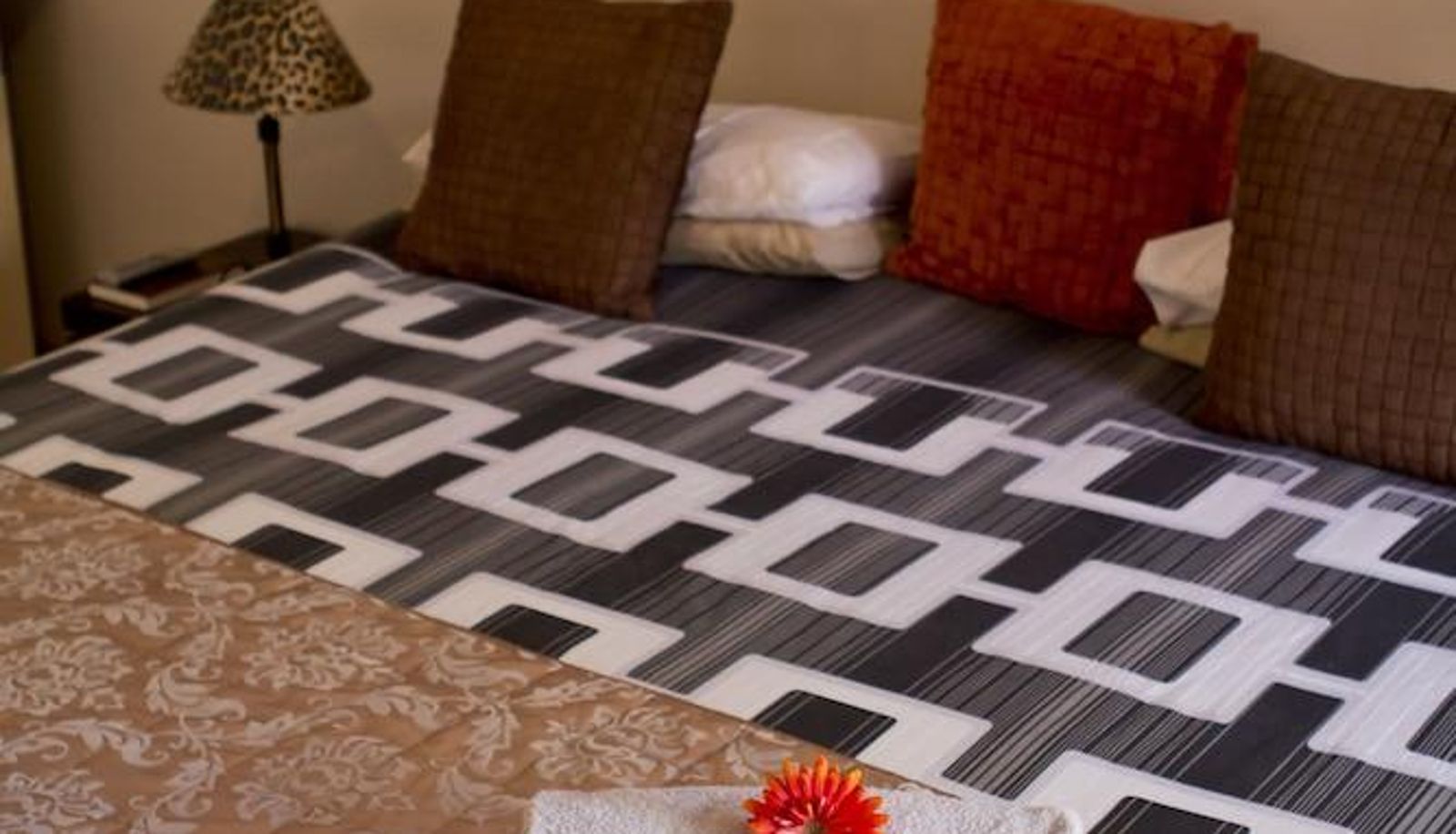 Apartment - Villa Mexicana
