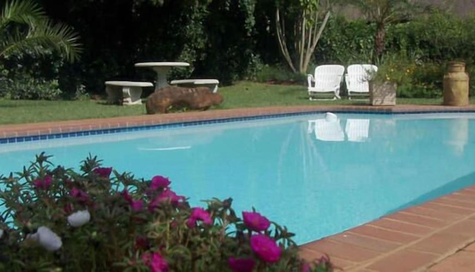 Pool - Ascot Inn