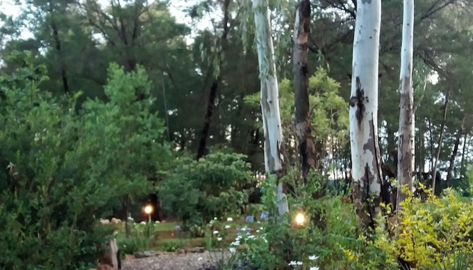 Garden - Woodland Gardens