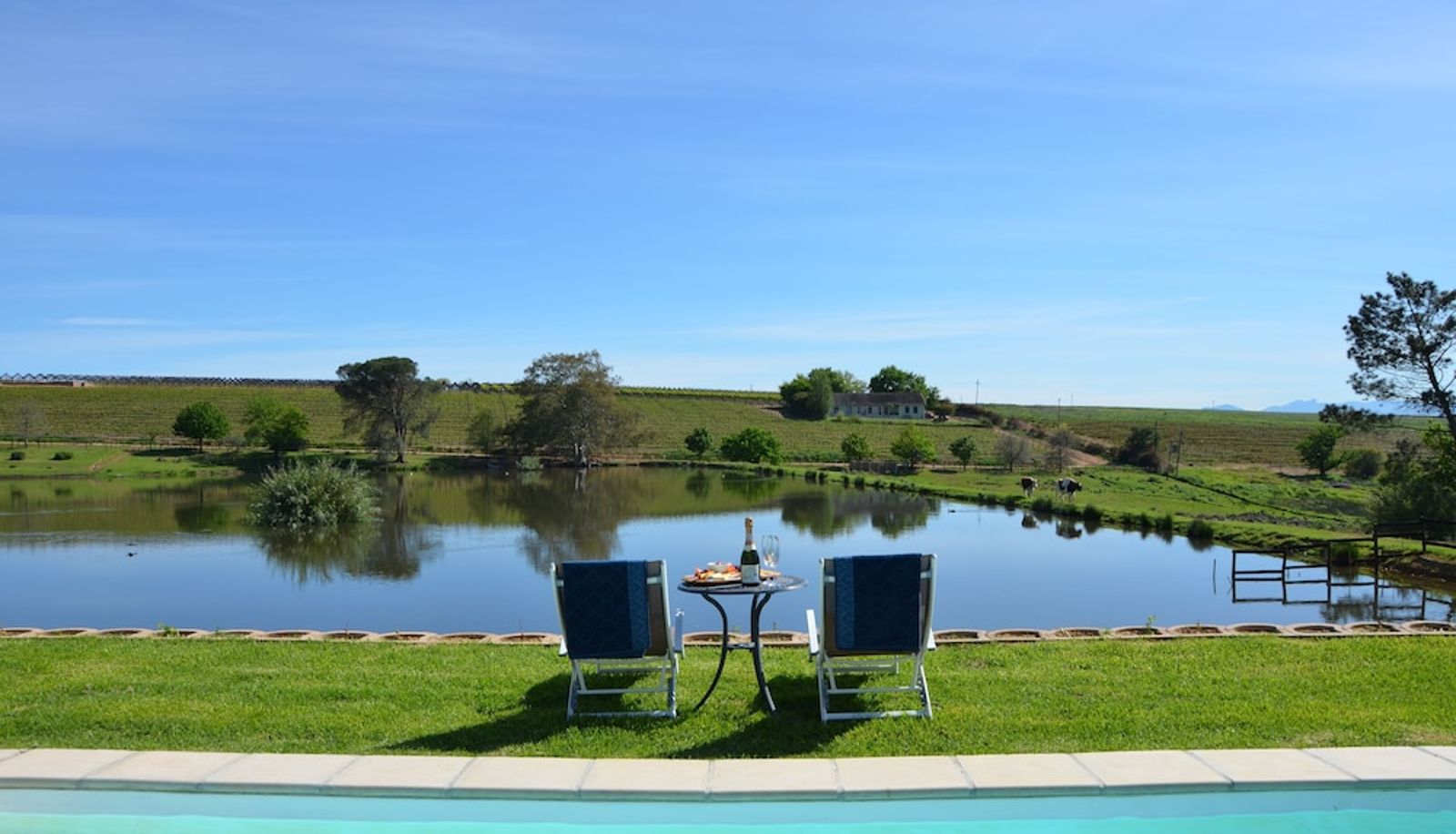 Piscina - Under Oaks Guesthouse