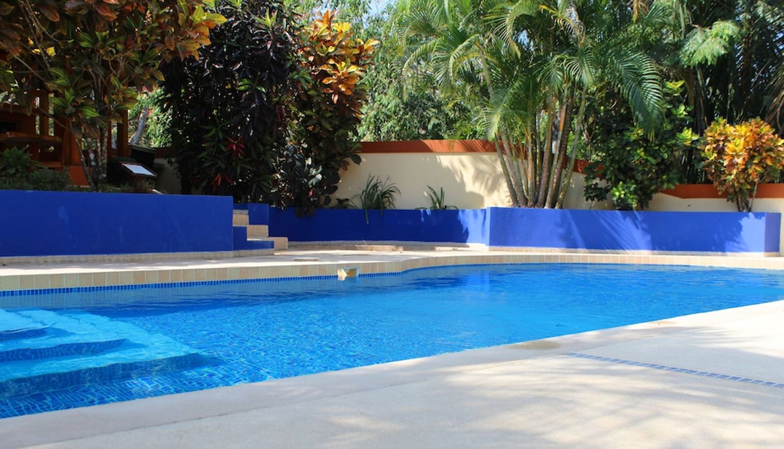 Pool - Hotel Alkamar