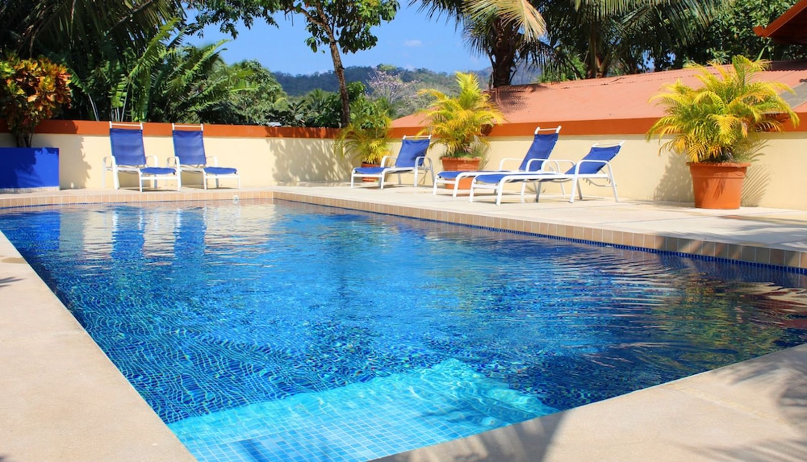 Pool - Hotel Alkamar