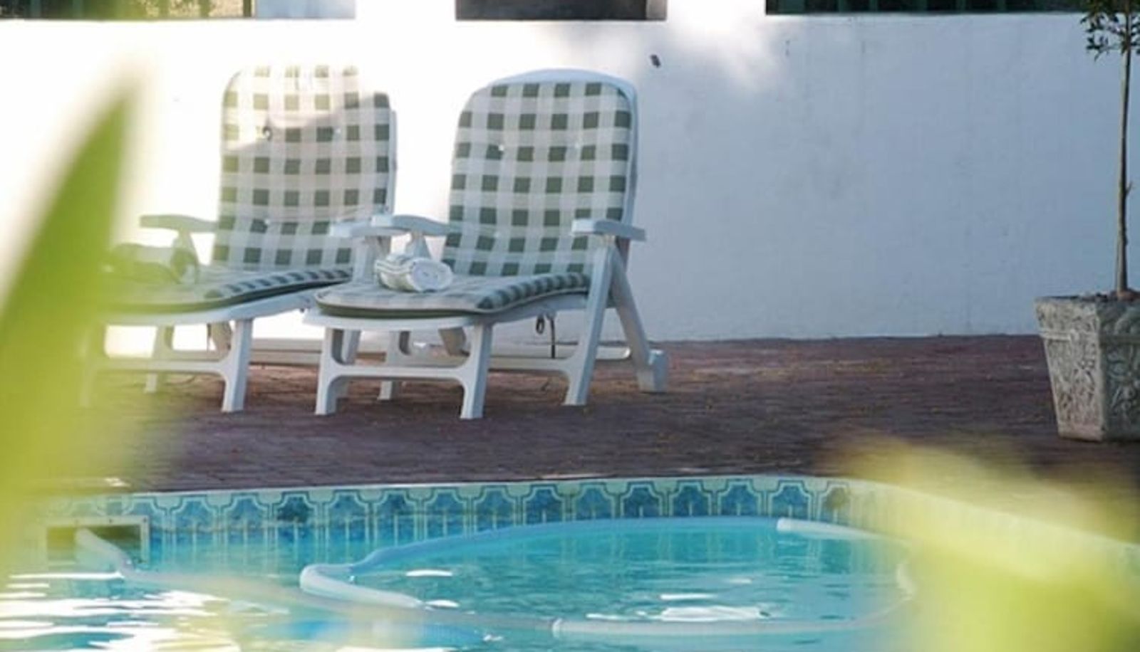 Pool - Olive Grove Guest Farm