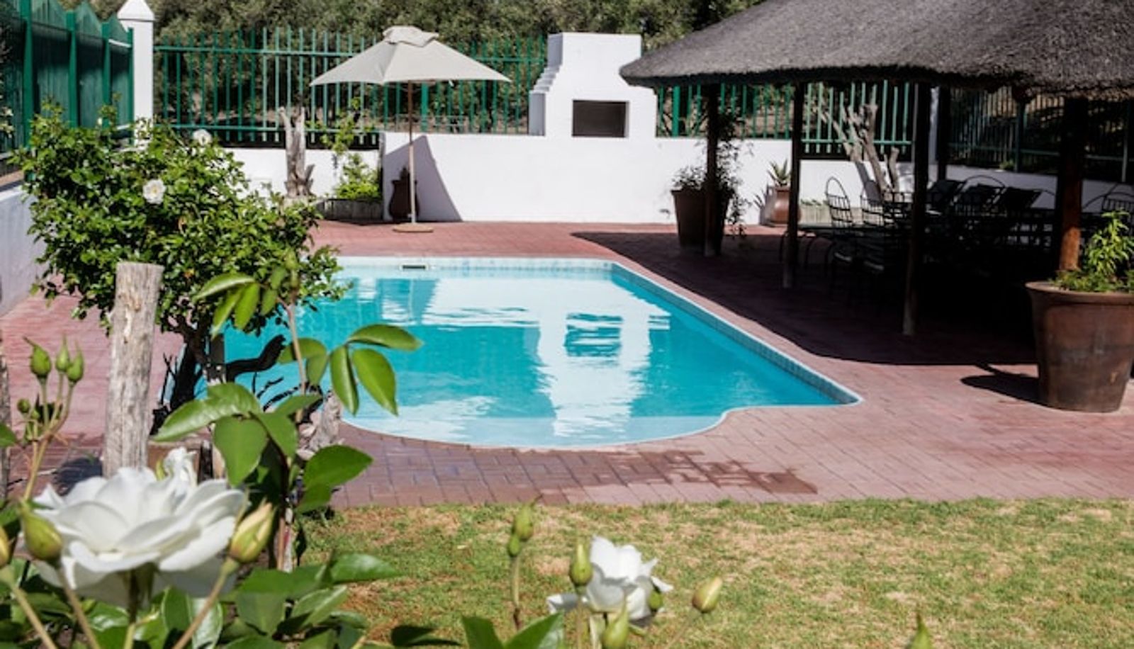 Pool - Olive Grove Guest Farm