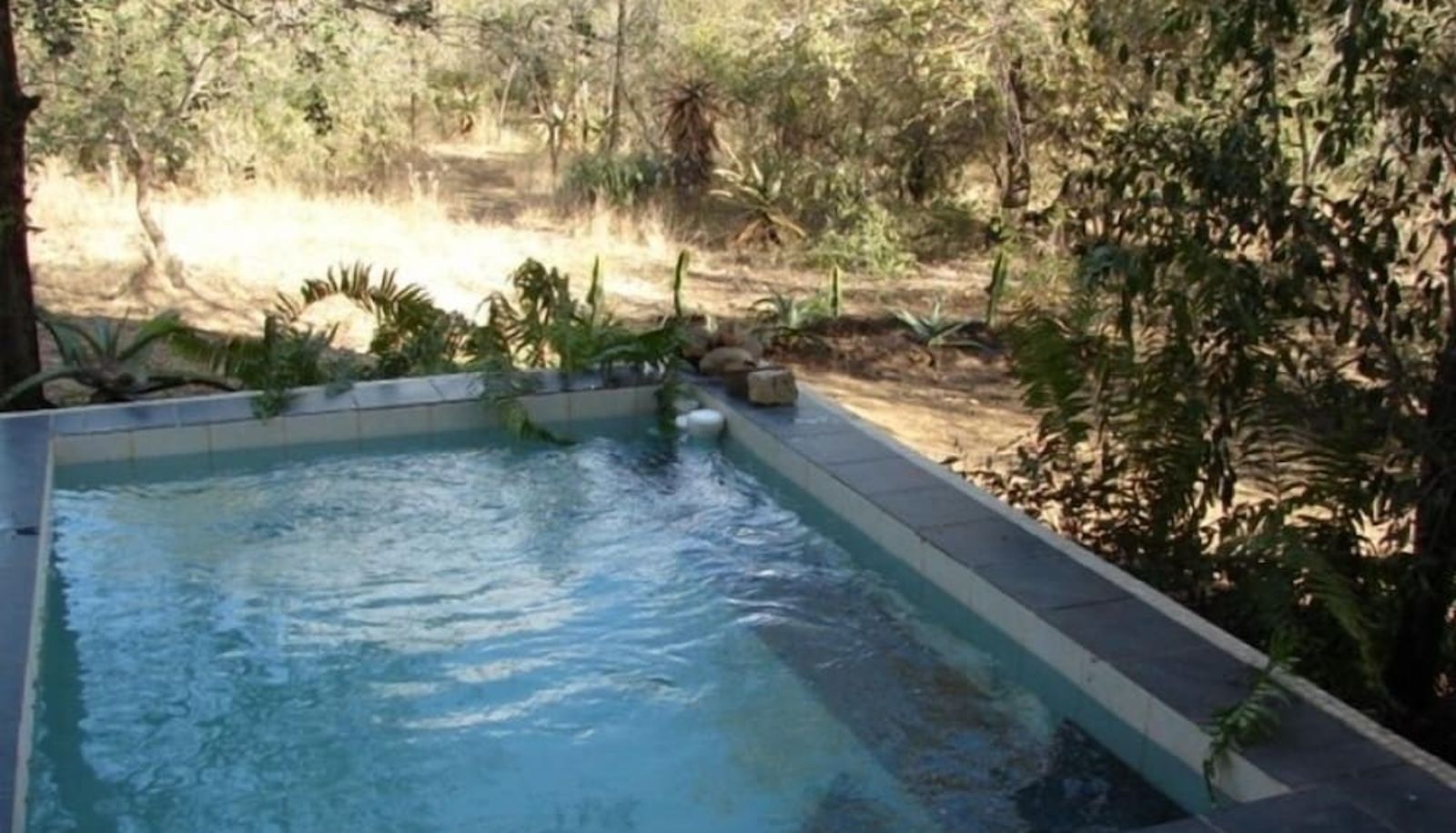 Pool - Marloth Kruger Accommodation