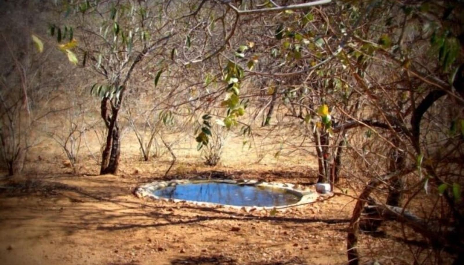 Pool - Marloth Kruger Accommodation