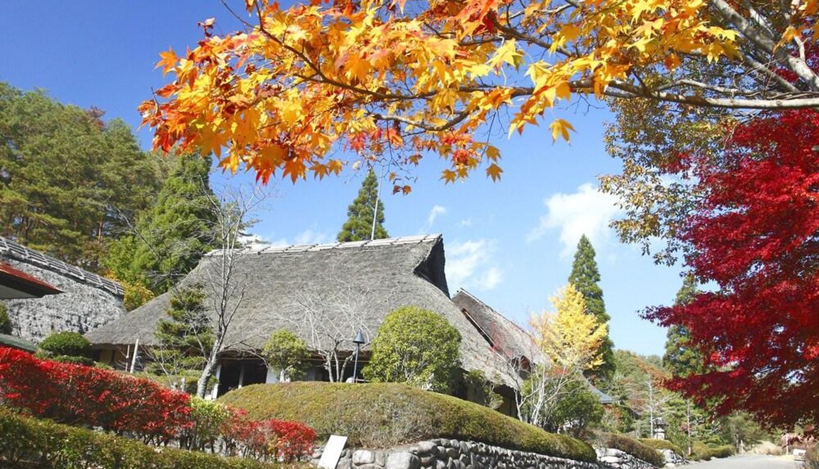 Surrounding - Family Resort in Kuma Kogen