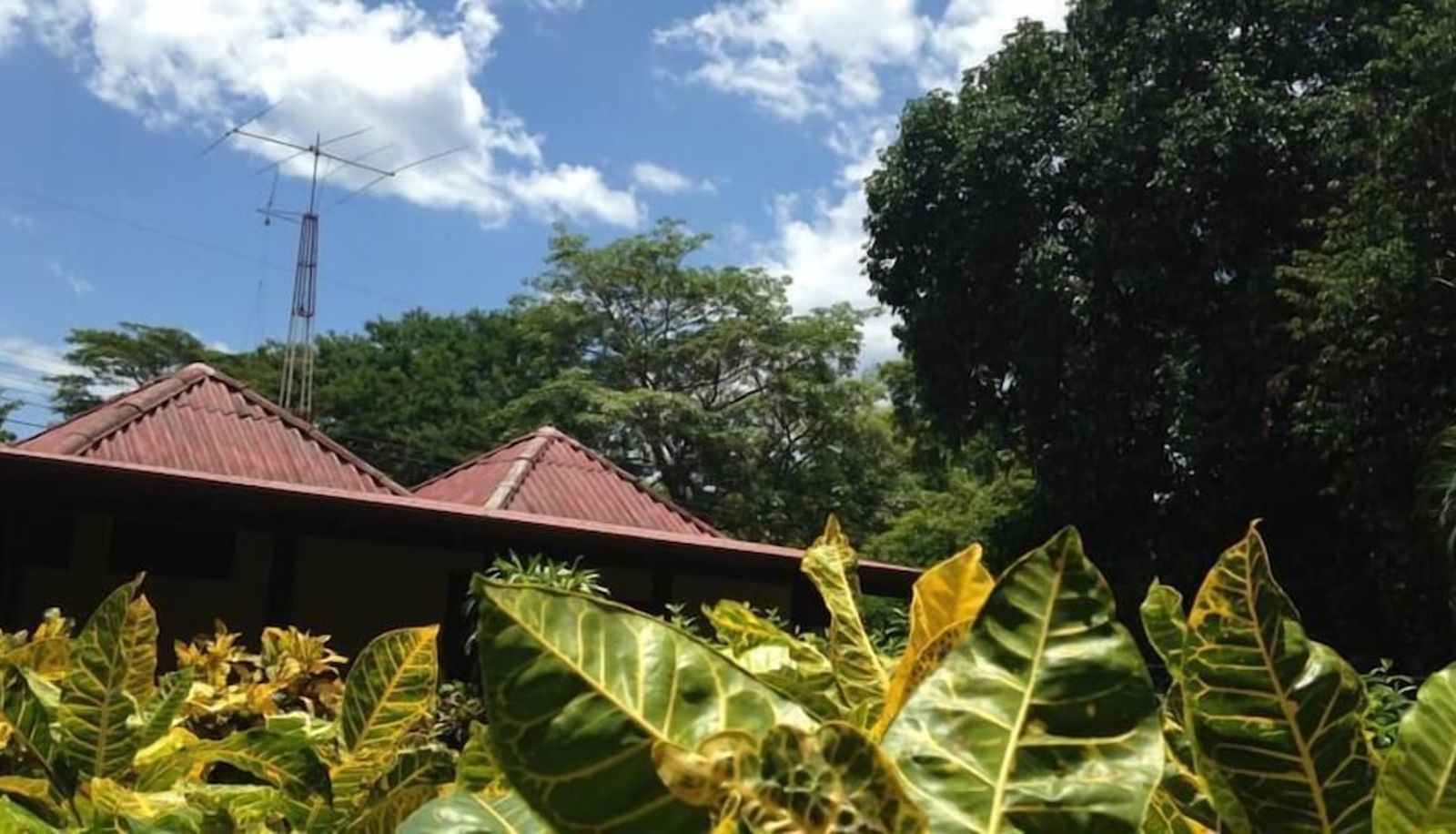 Jardín - Hotel Flor de Itabo