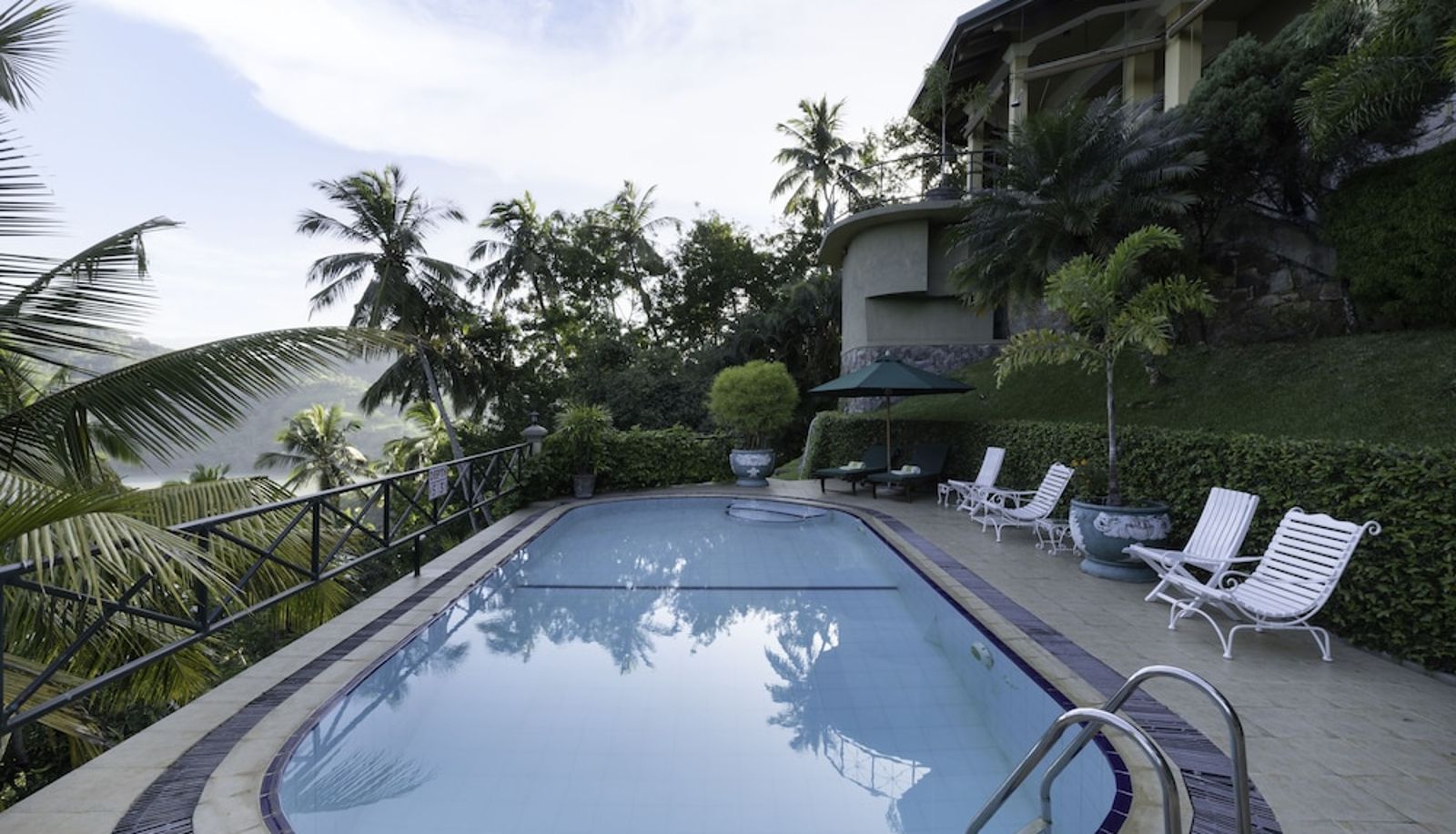 Piscina - Kandy The Albatross