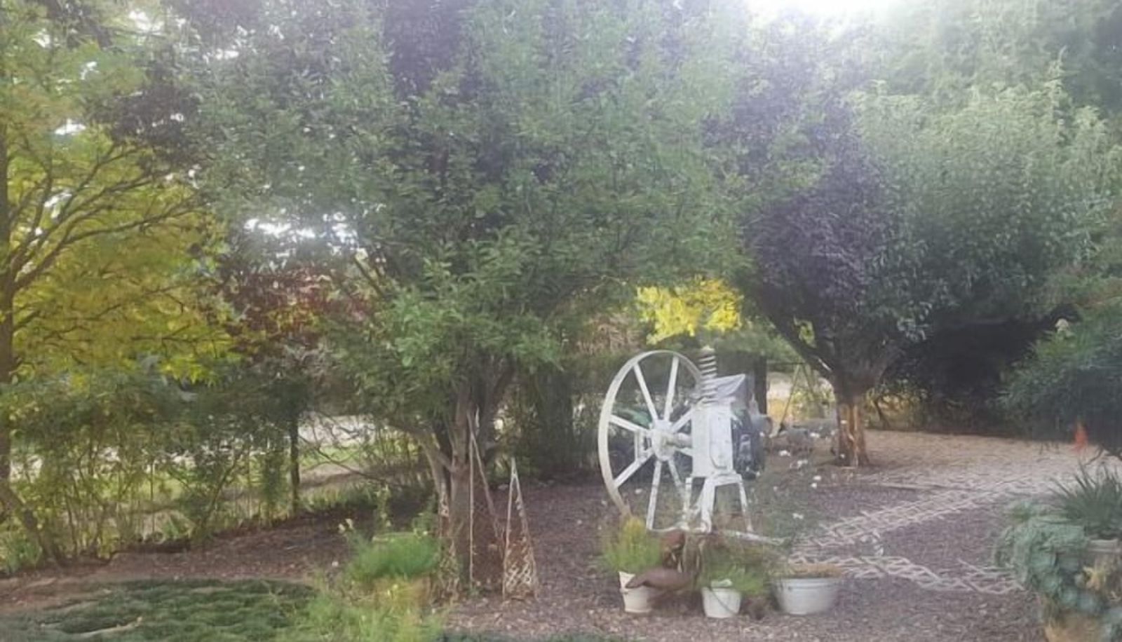 Garden - Ambleside Clarens Self Catering Cottages