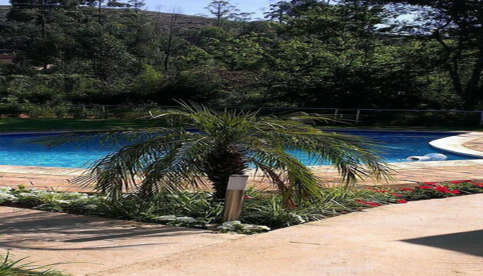 Zwembad - The Place Guest House