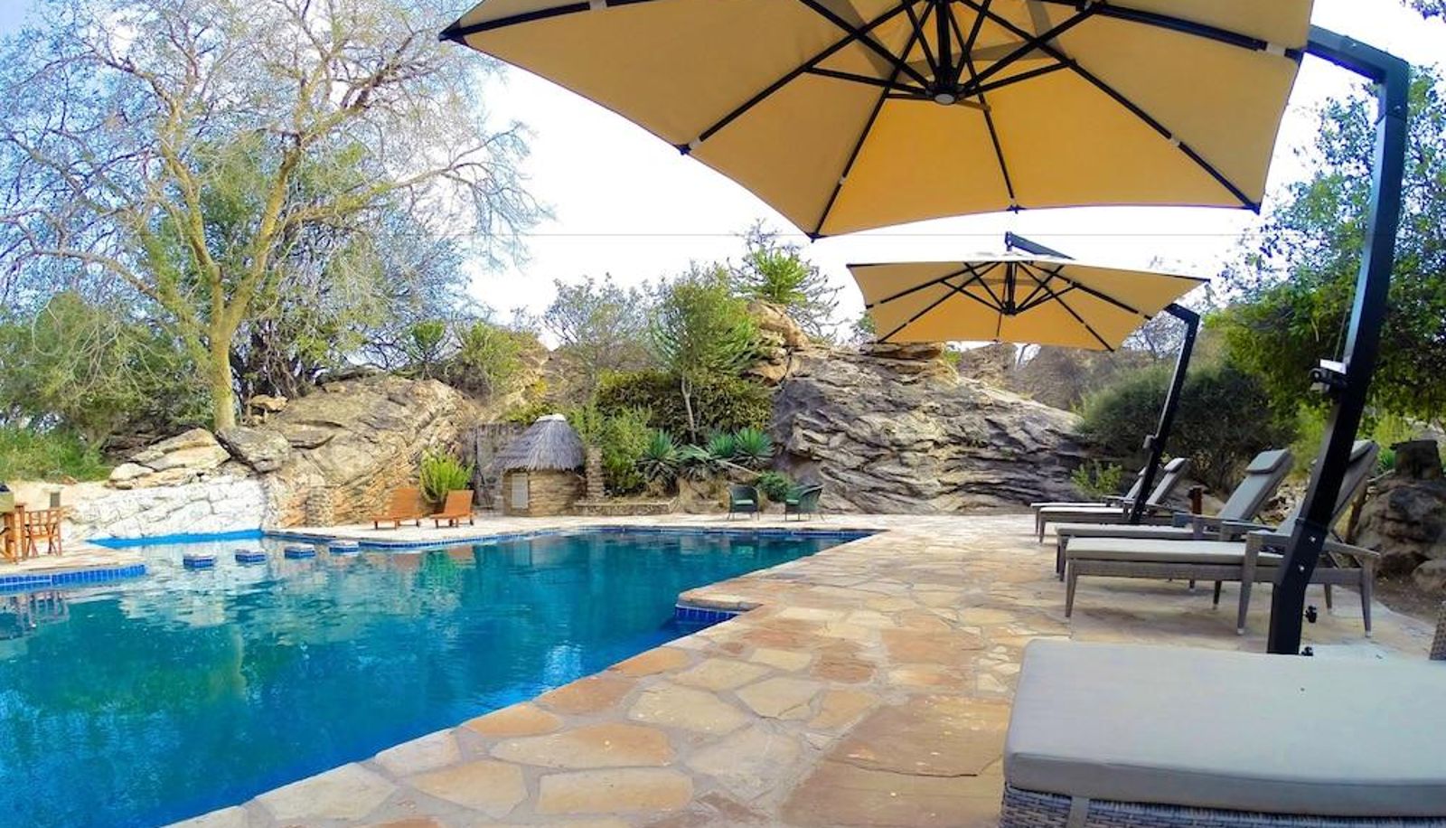 Pool - Tuli Safari Lodge