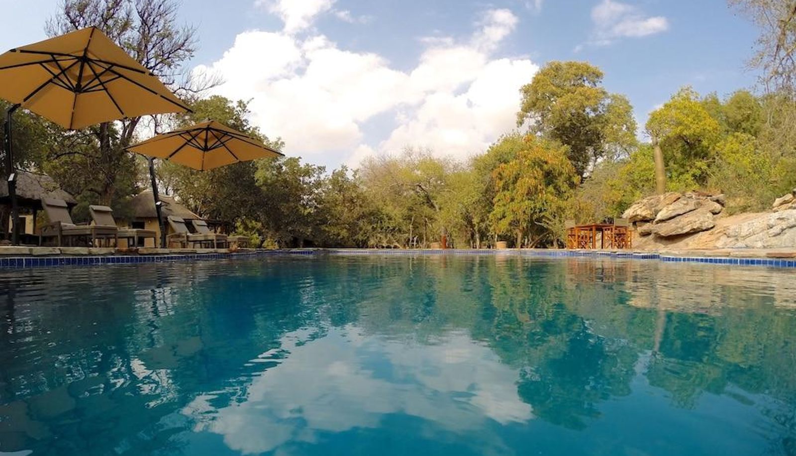 Pool - Tuli Safari Lodge