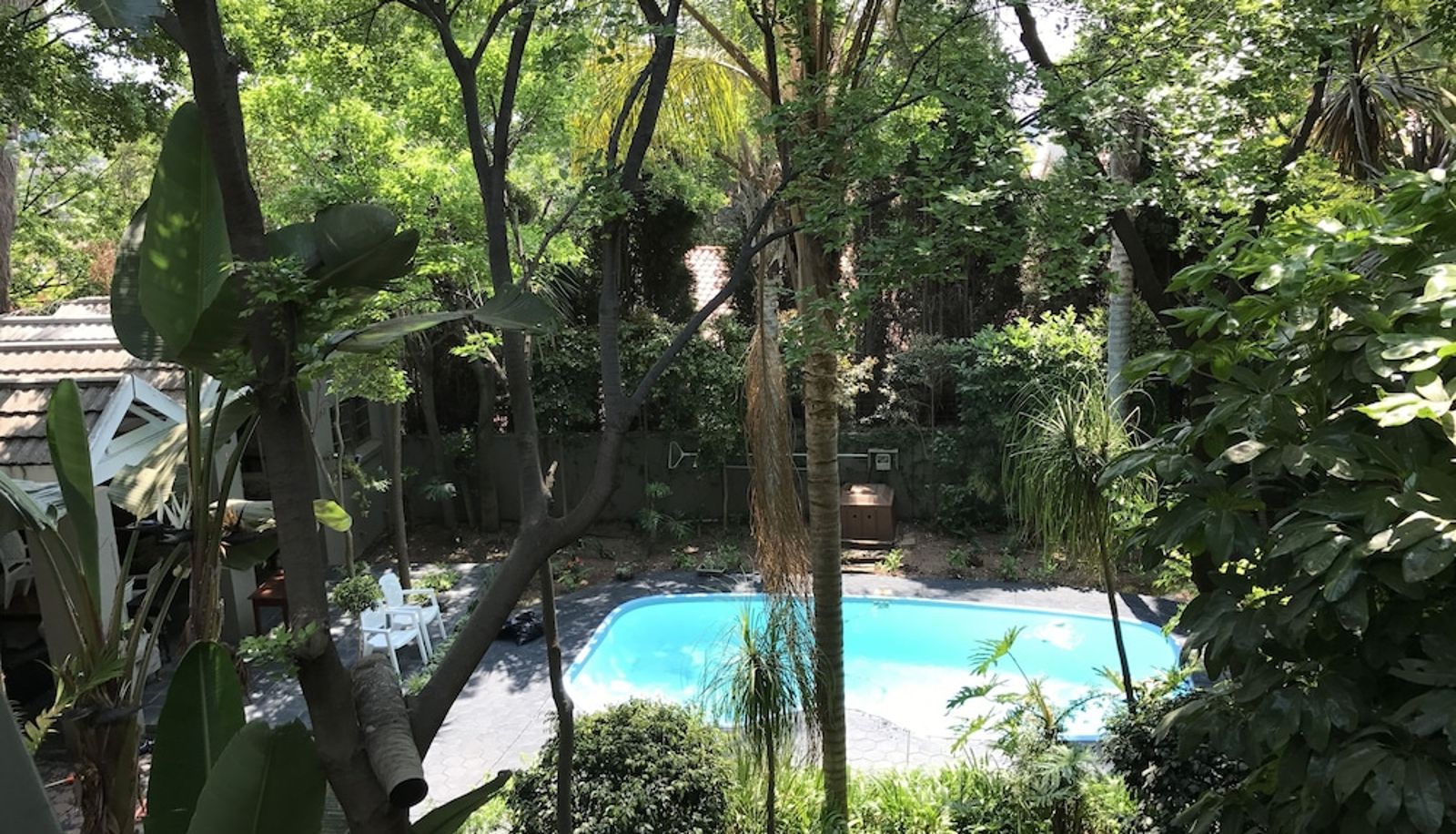 Piscina - Waterhouse Guest Lodges 295 Indus Street