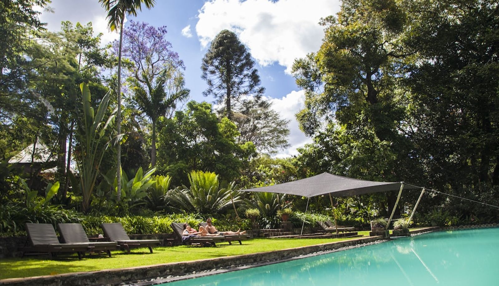 Zwembad - Ngare Sero Mountain Lodge