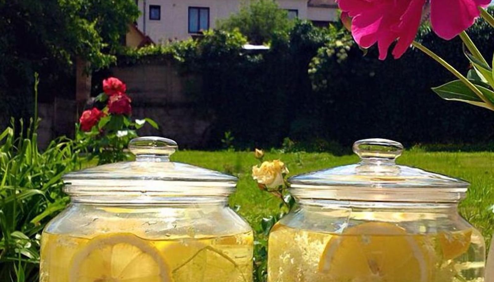 Garden - Hotel Republique