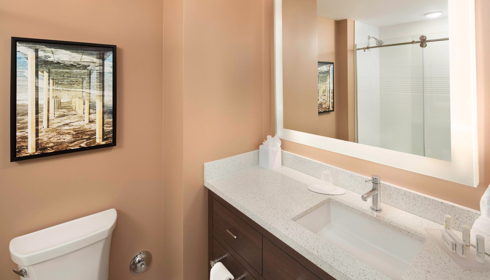 Zimmer - TownePlace Suites by Marriott San Diego Downtown