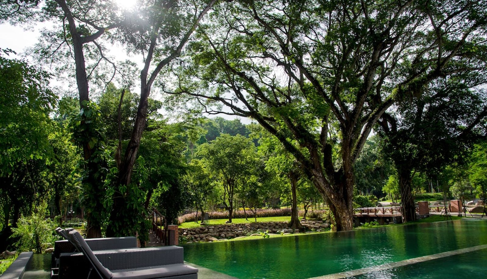 Piscina - Flora Creek Resort & Garden Chiang Mai