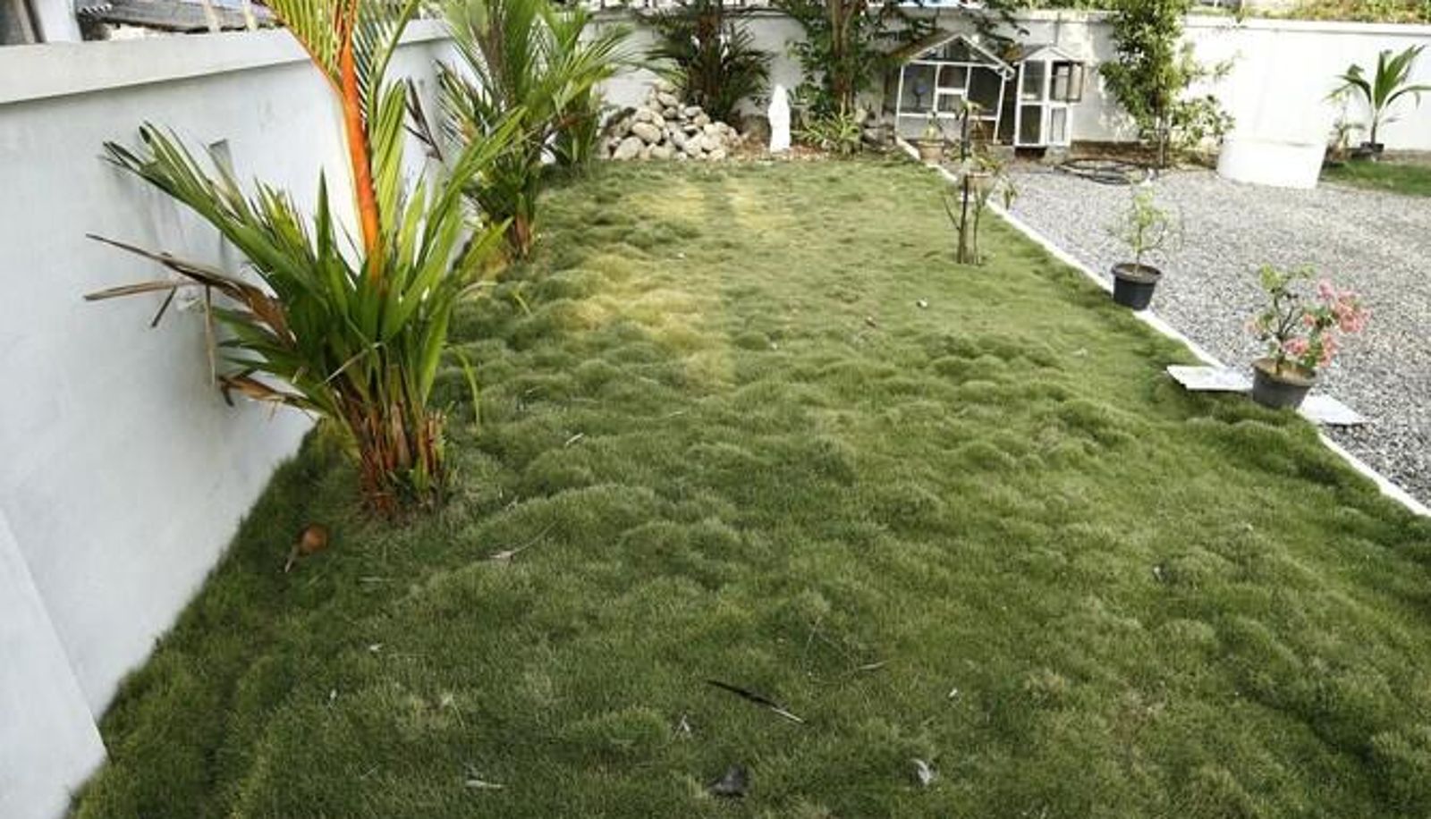 Omgeving - Cochin Cove Homestay