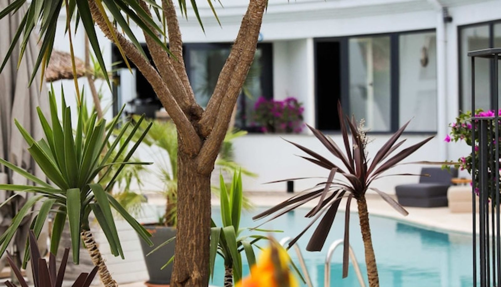 Piscine - Elista Hotel & Spa