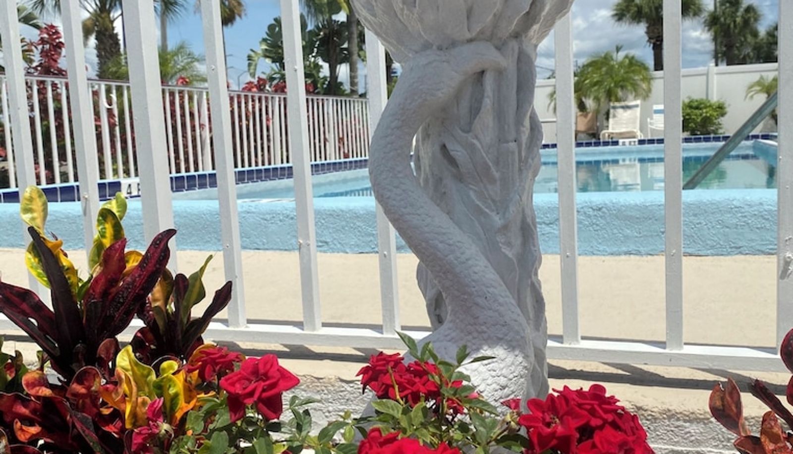 Pool - Maple Leaf Inn & Suites