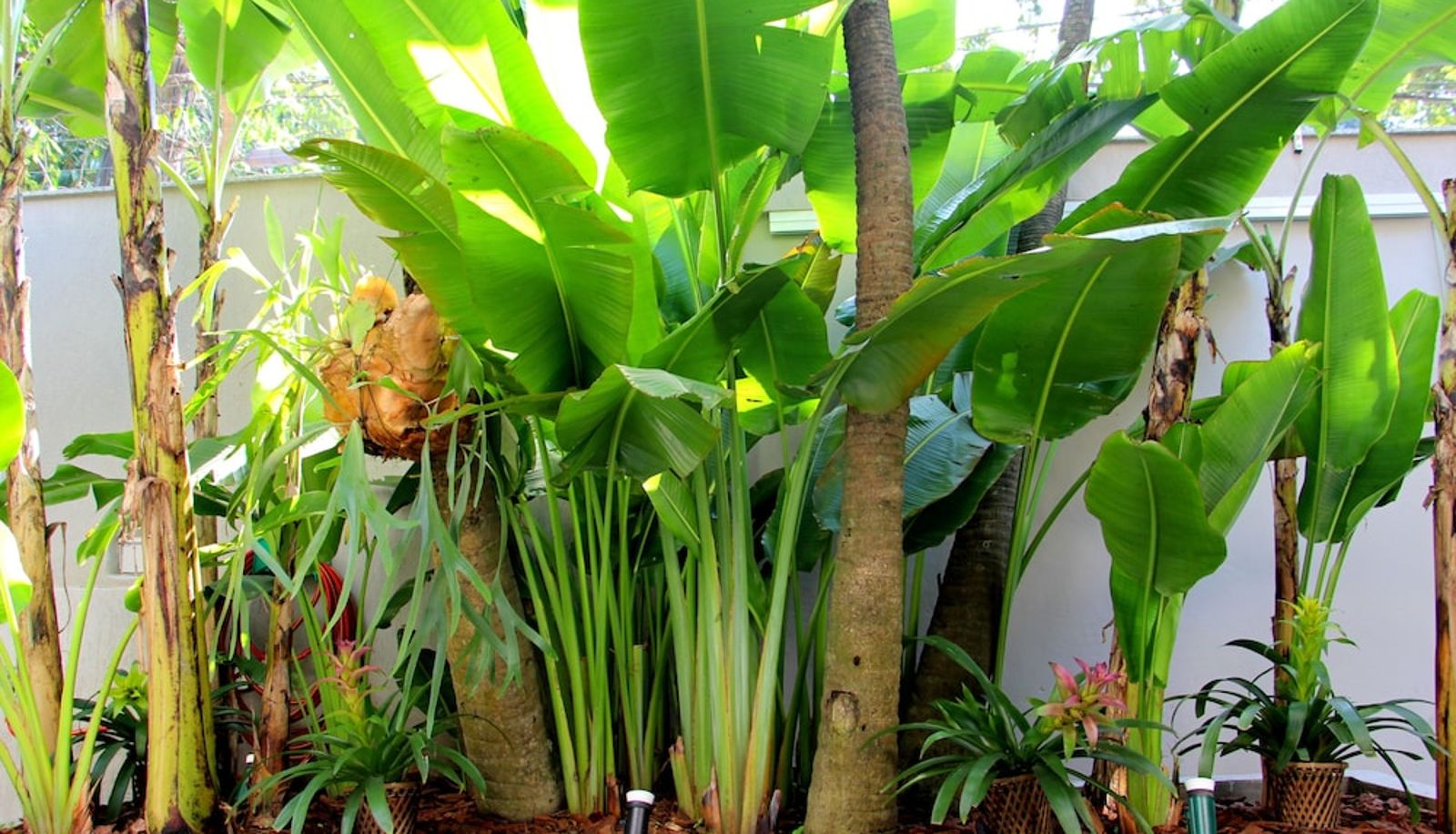 Garden - Gávea BNB
