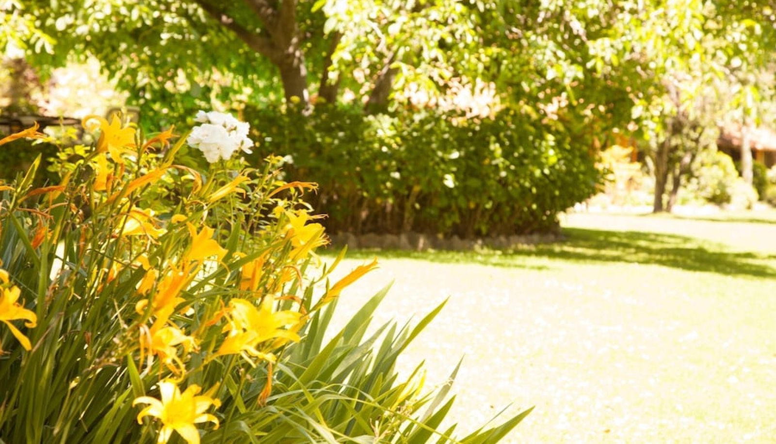 Garten - Lodge Andino El Ingenio