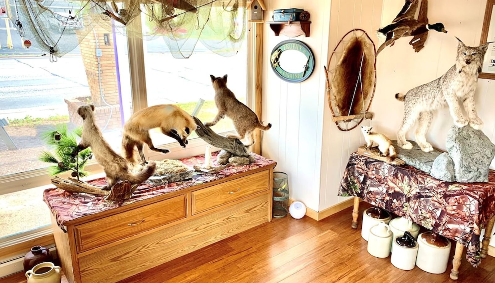 Reception - Forest Lake Motel
