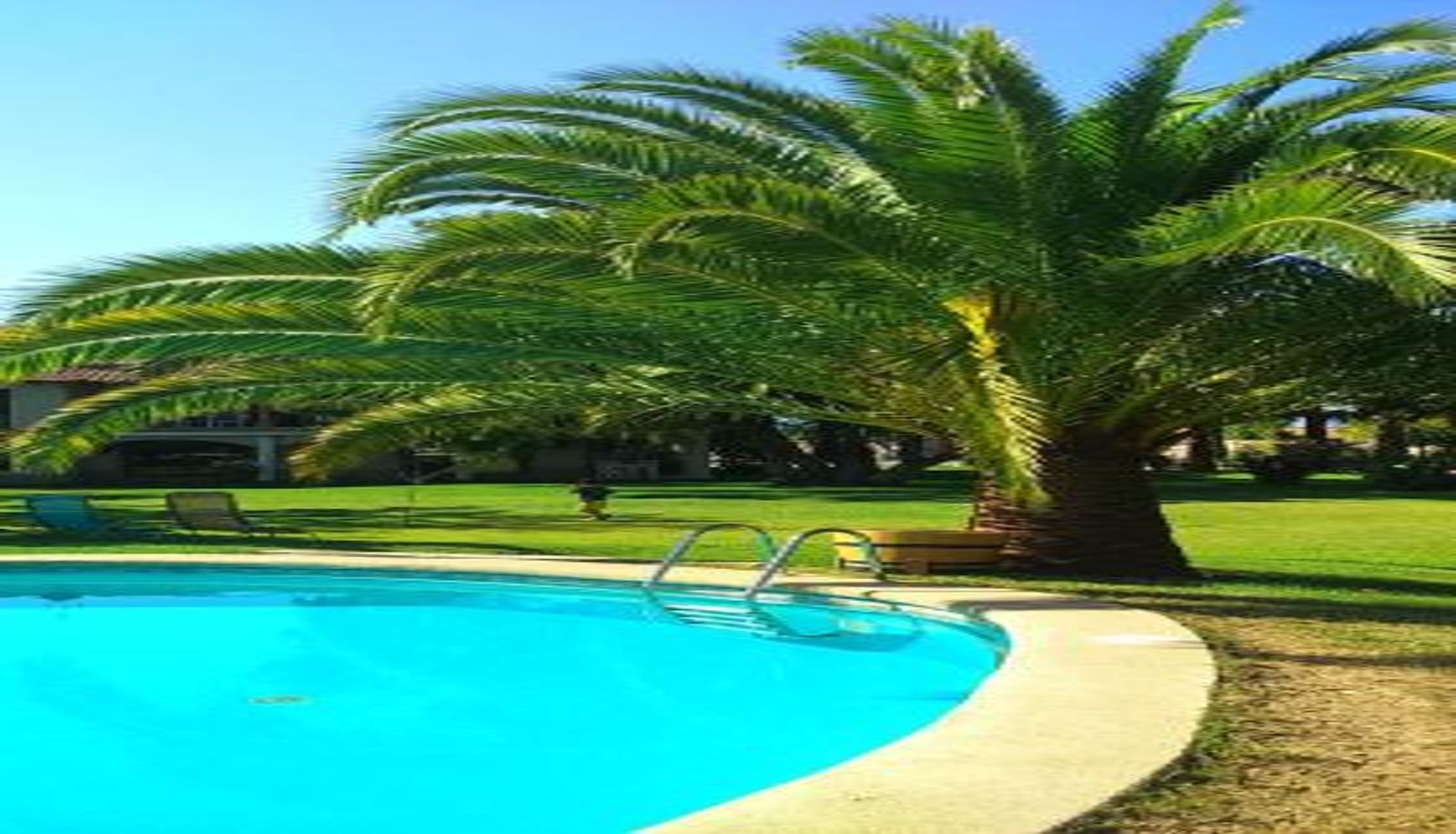 Pool - La Perla Hotel