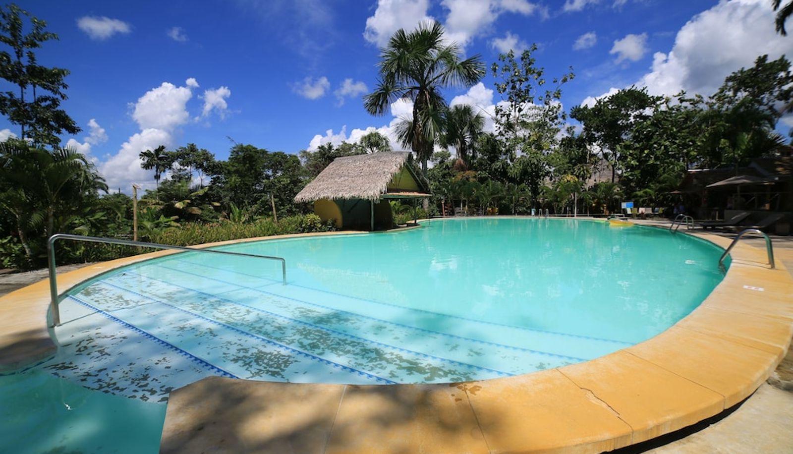 Piscine - Amazon Garden Ecolodge