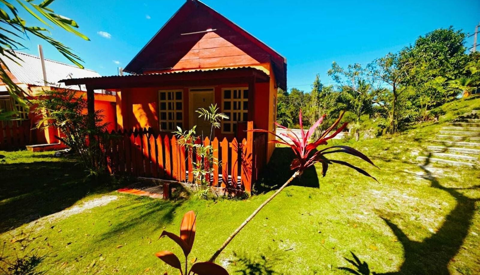 Info - Mirador Maya