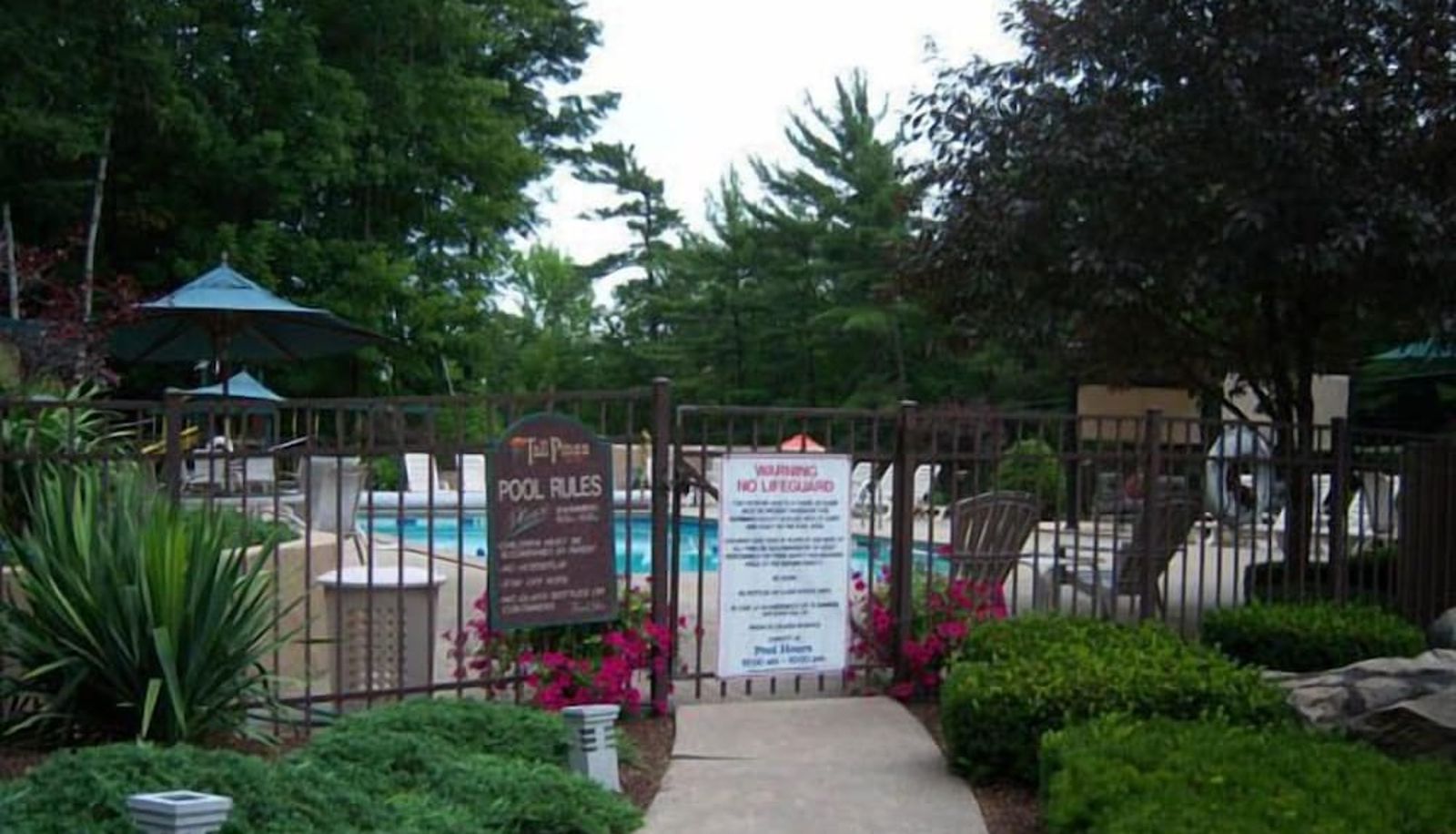 Pool - Tall Pines Motel