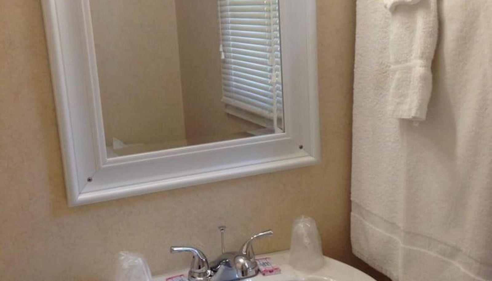 Chambre Standard - Twin Spruce Motel