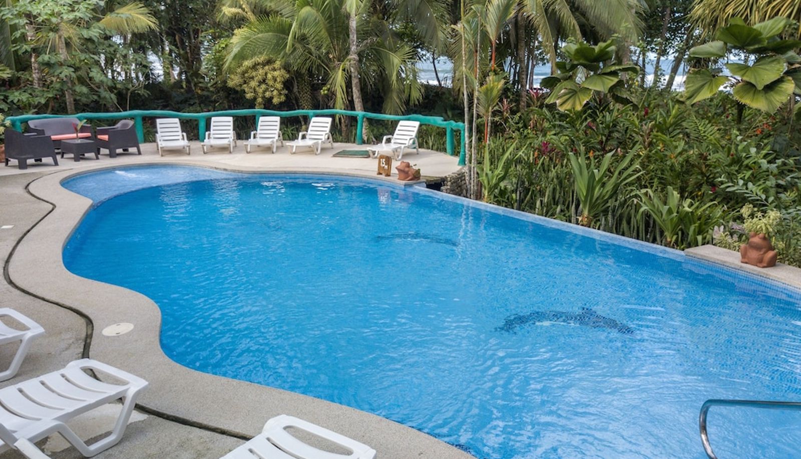 Piscine - La Diosa Nature Lodge
