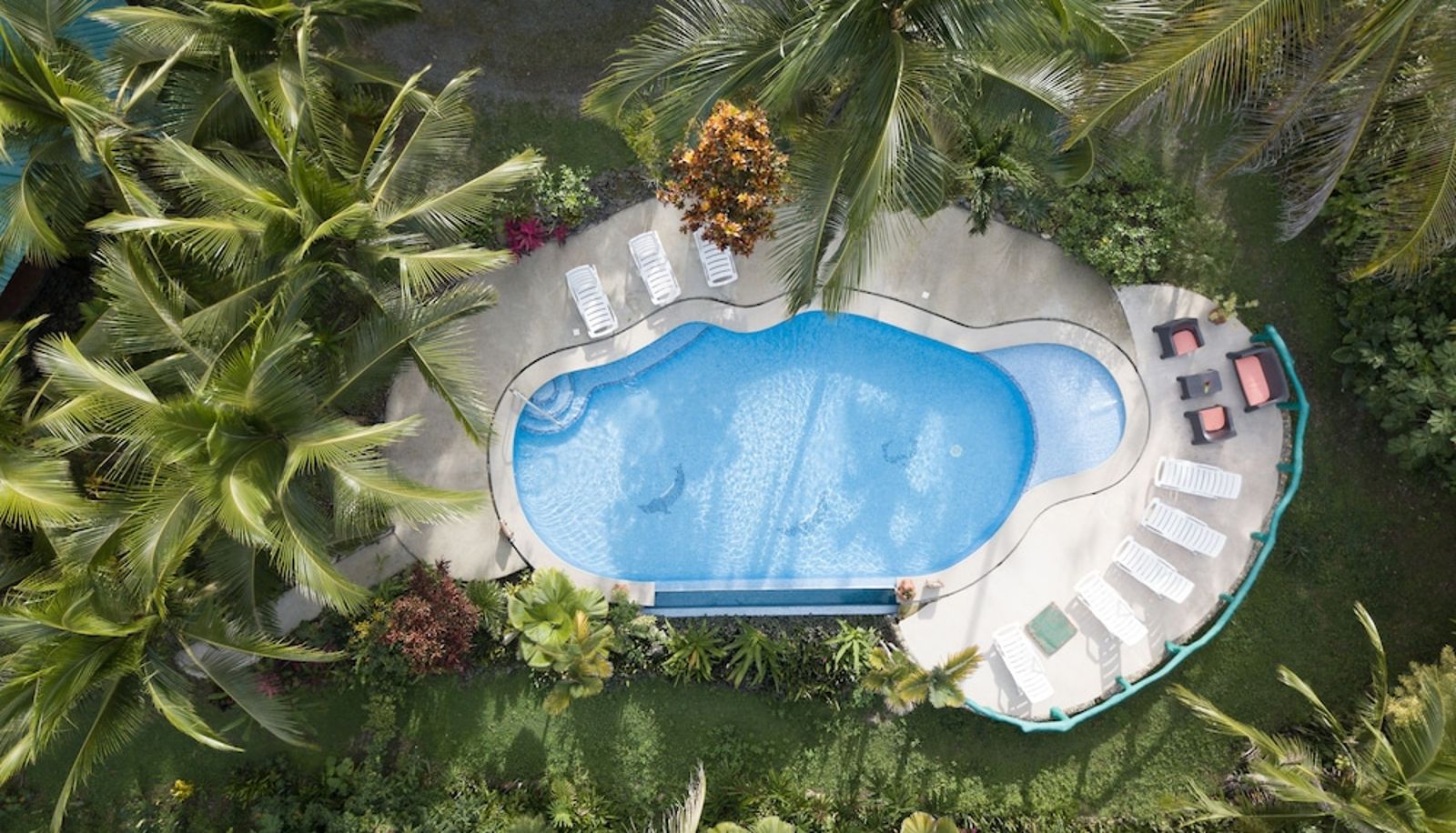 Piscine - La Diosa Nature Lodge