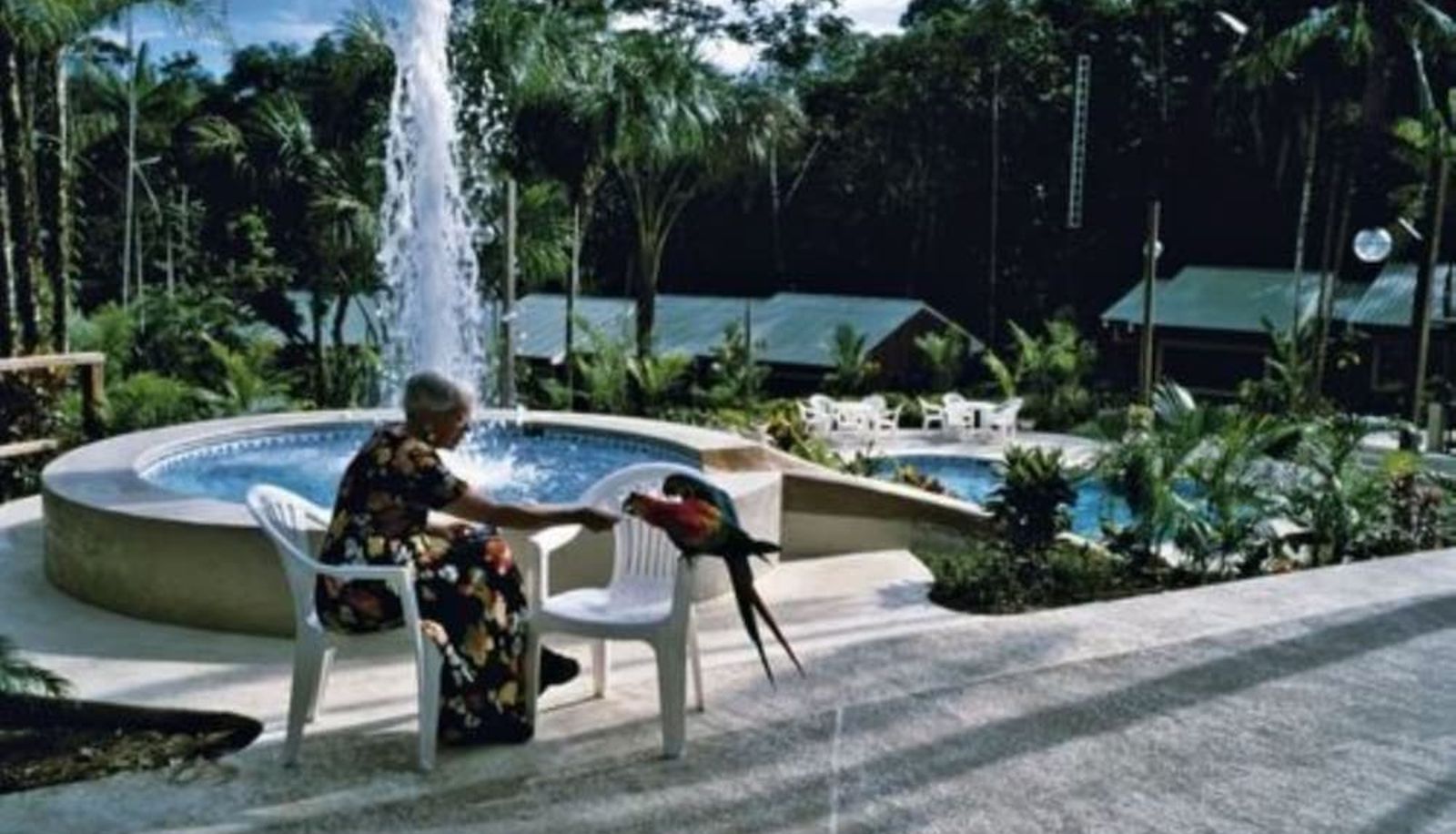 Piscine - Ceiba Tops Lodge