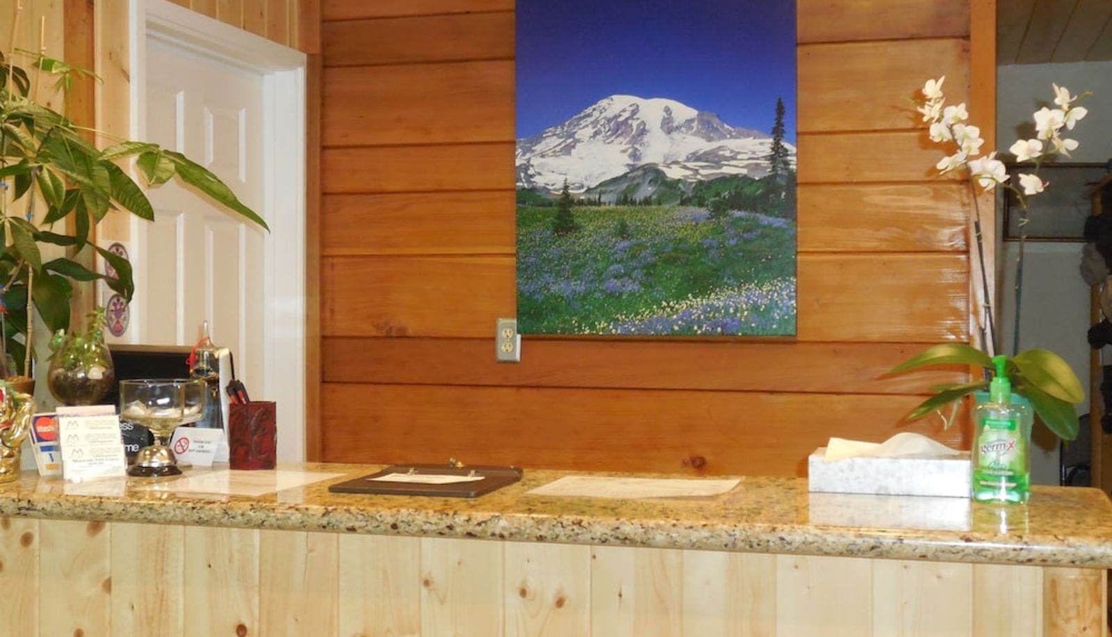Rezeption - Mountain View Lodge
