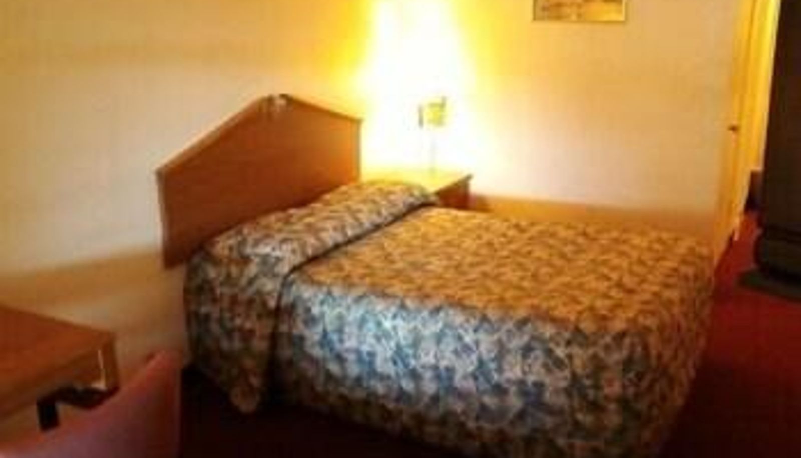 Standardzimmer - Shady Oaks Motel