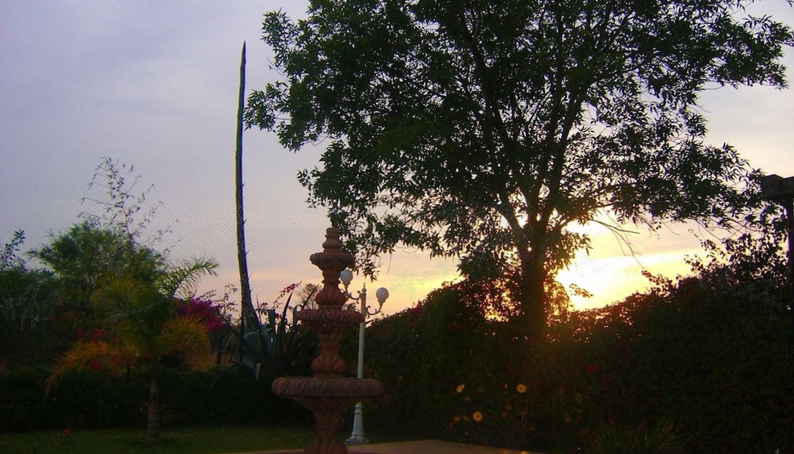 Jardin - Hotel del Tajo