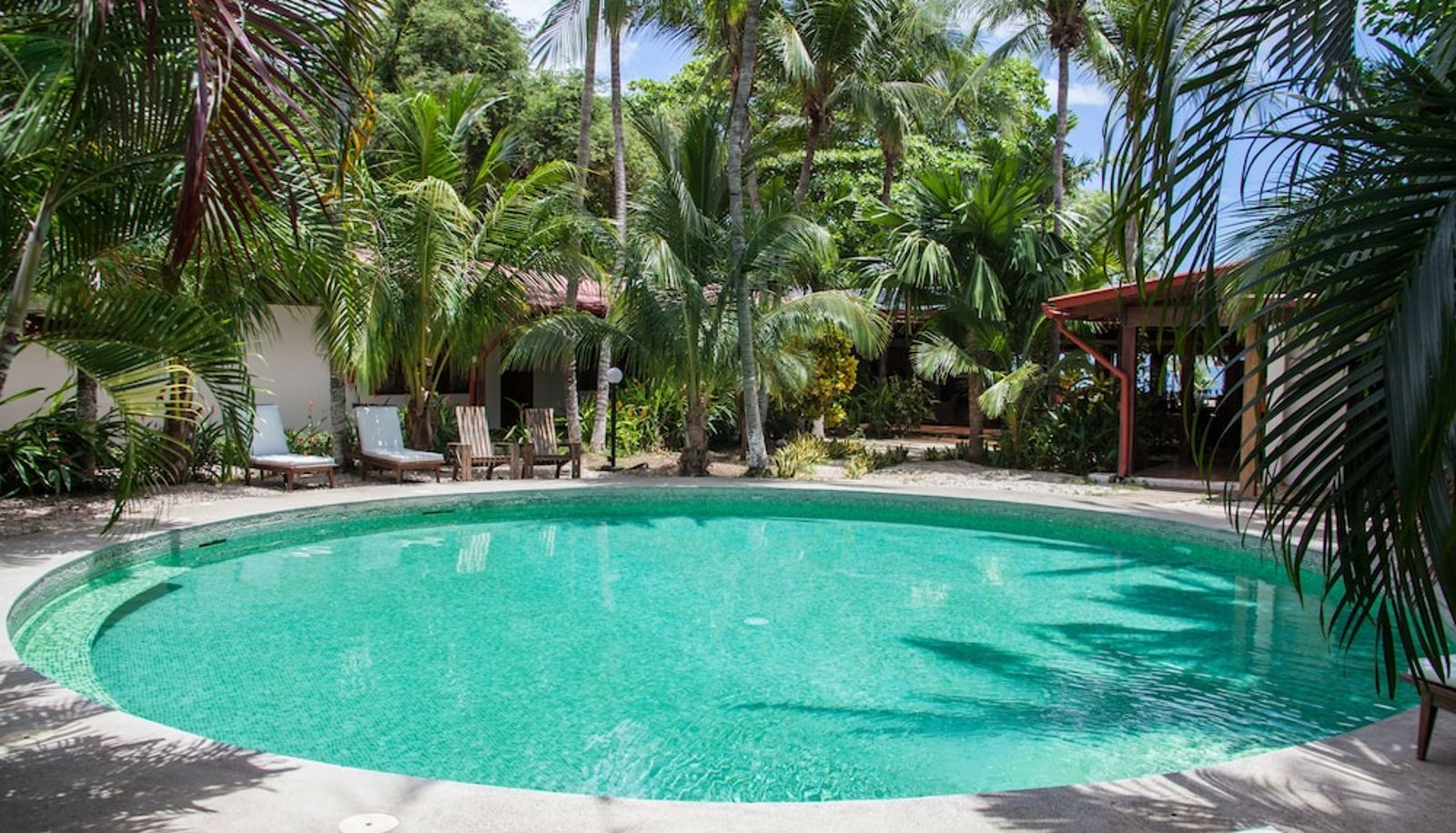 Piscina - Café de Playa Beach Front Hotel