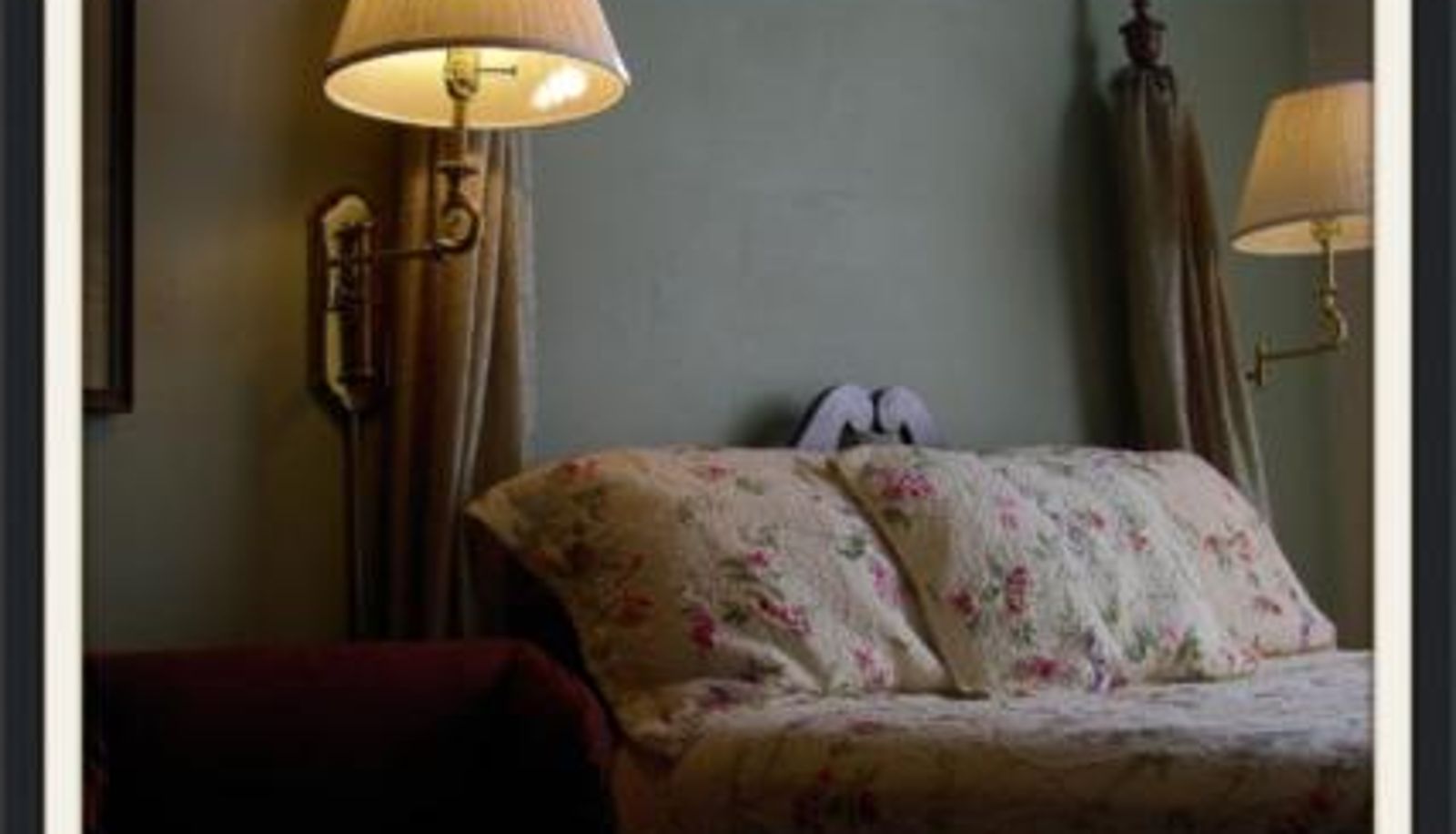 Camera standard - The Inn in Westport
