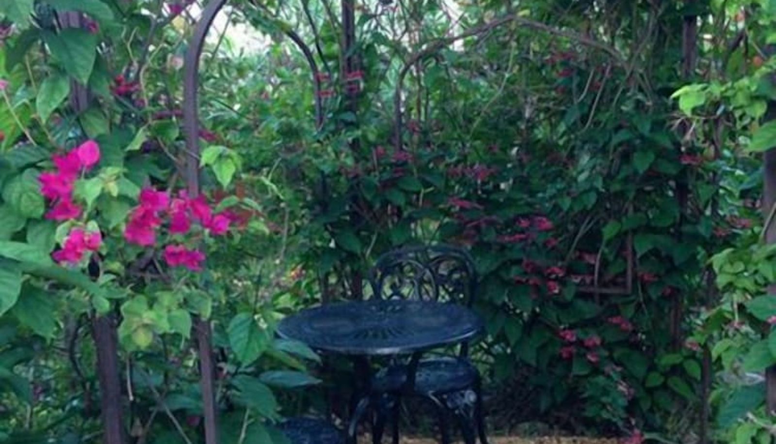 Garden - Casa Coquina Del Mar B&B