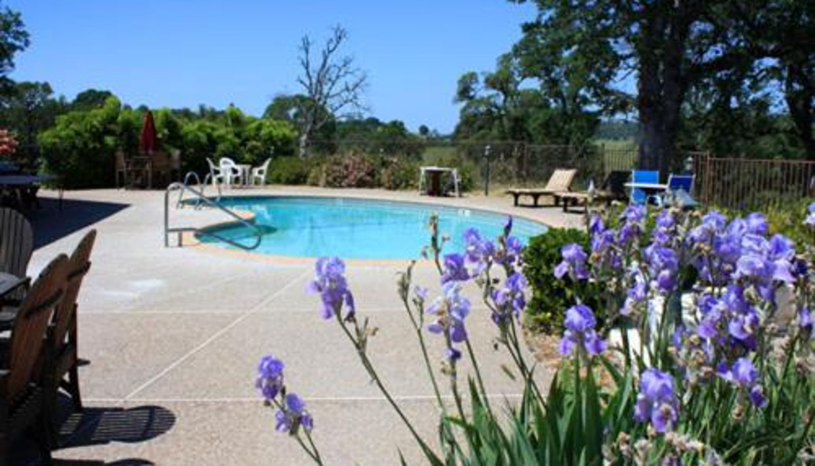 Piscina - Oak Ridge Inn