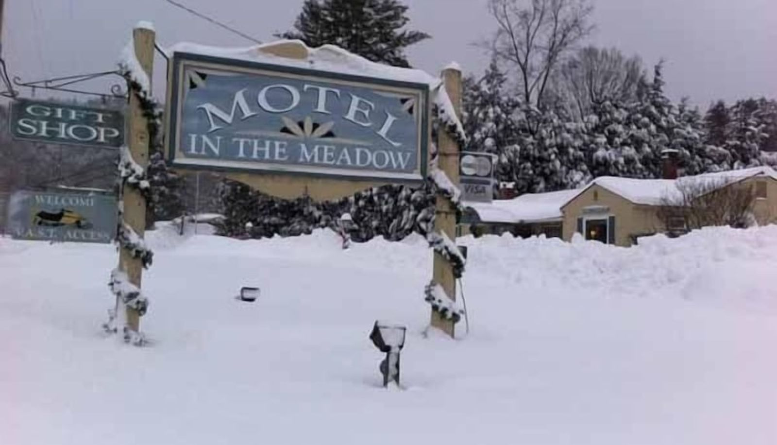 Info - Motel in the Meadow