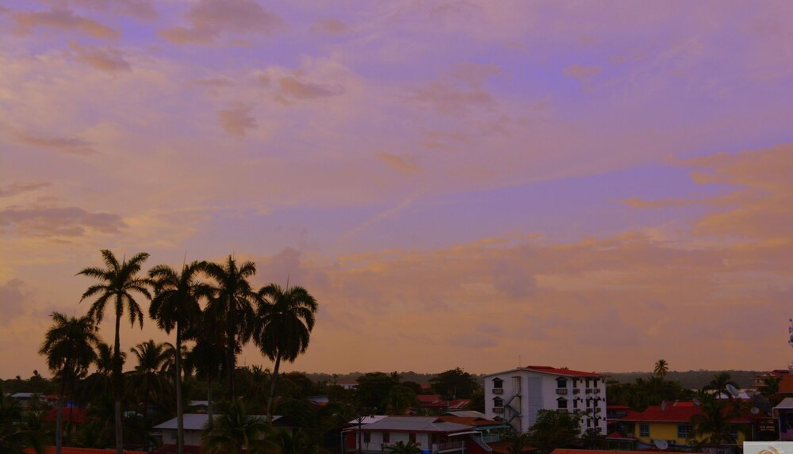 Info - Bocas Reef Hotel