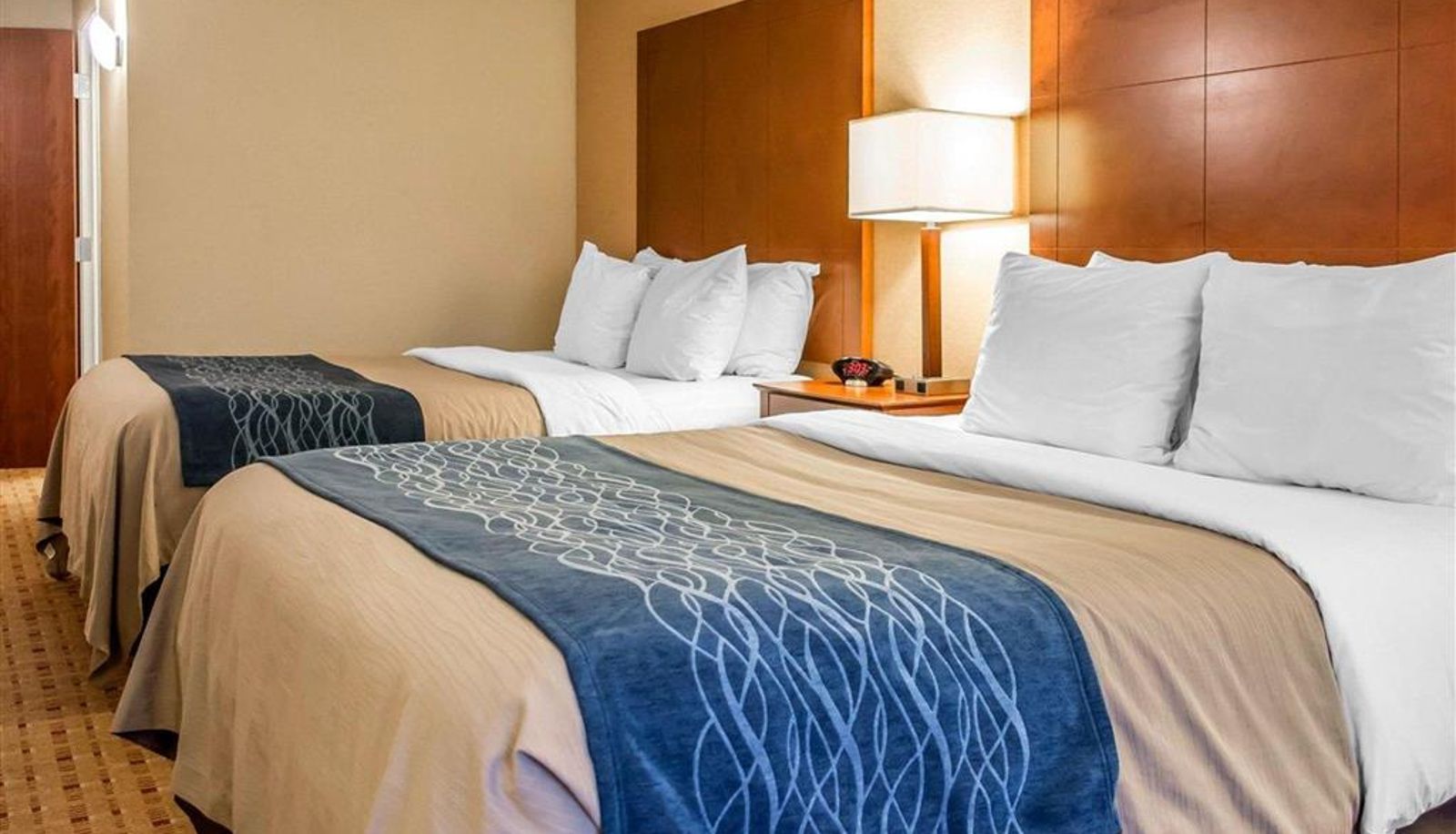 Zimmer - Comfort Inn & Suites Franklin East