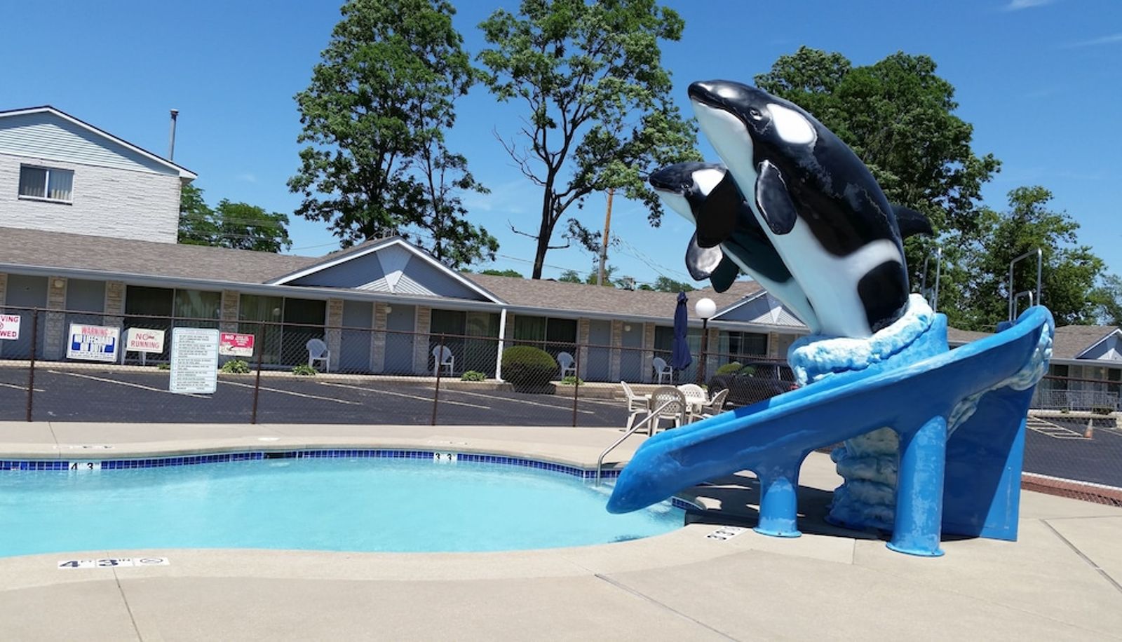 Pool - Surfside Motel