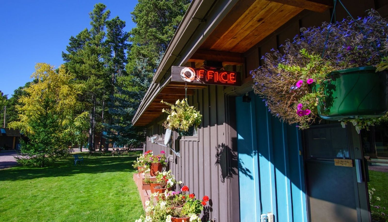 Info - Mountain Pine Motel