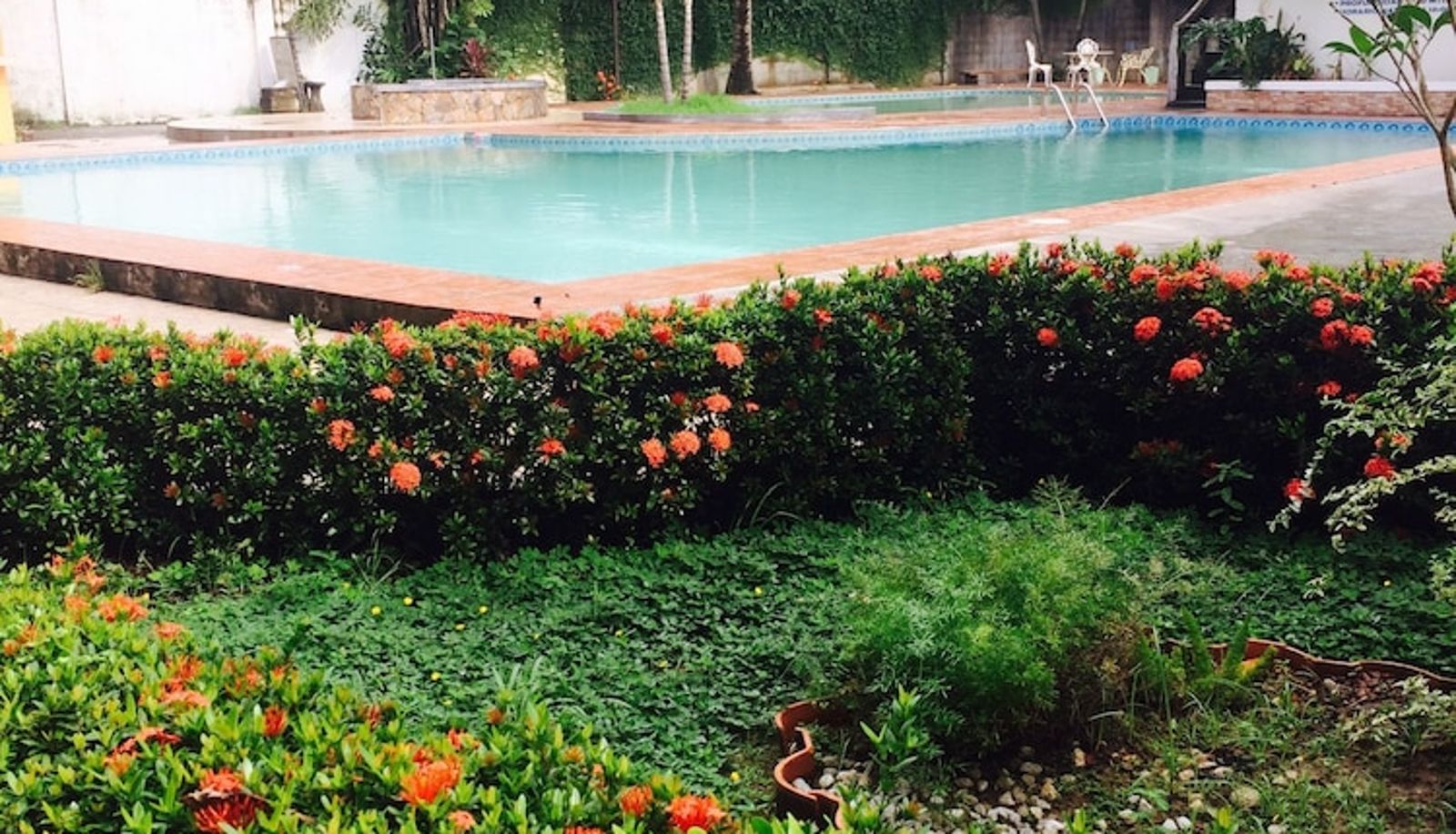 Pool - Hotel Molina