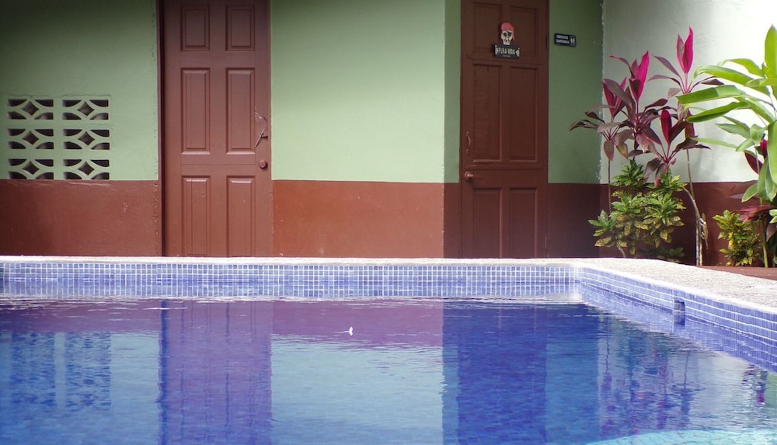 Zwembad - Mycasa's Bed and Breakfast